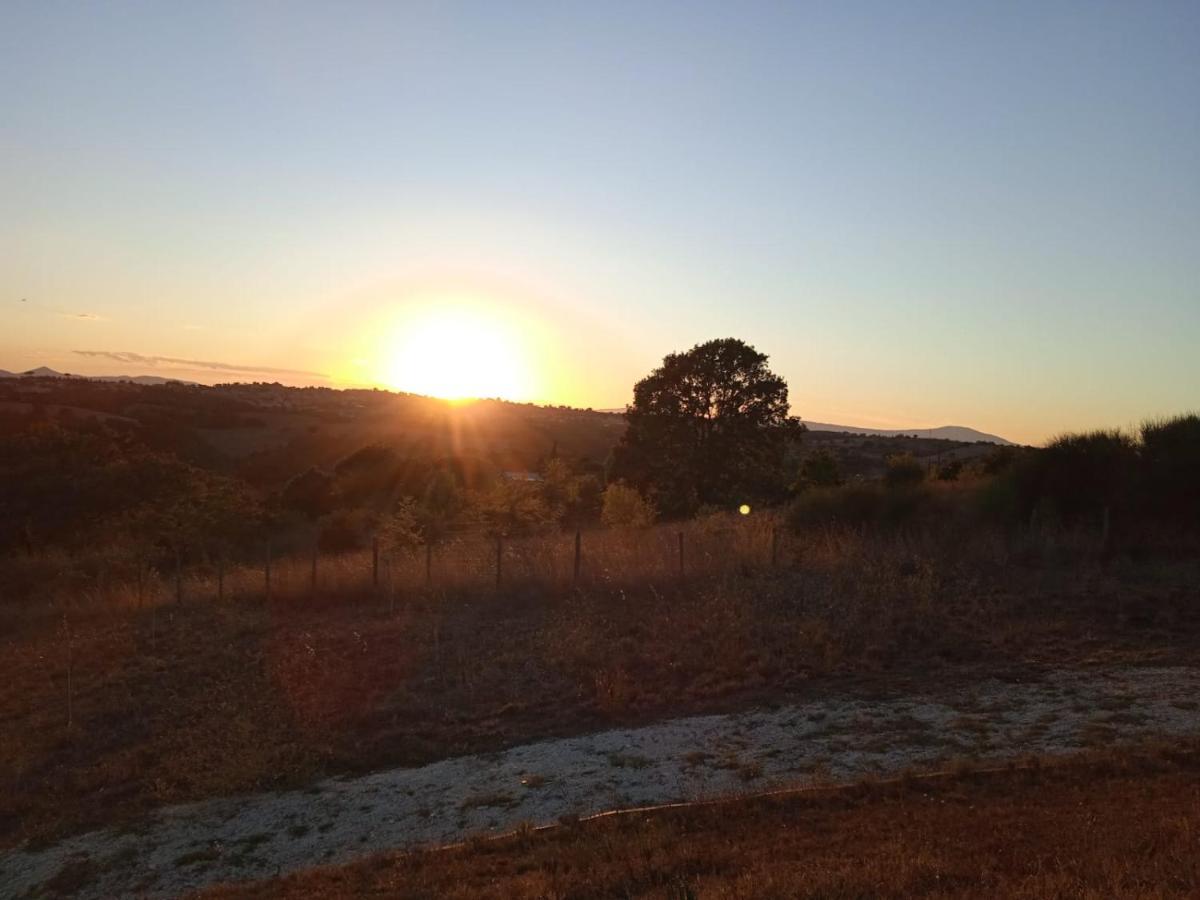 Agriturismo Il Cielo In Terra Sant'Oreste Eksteriør billede