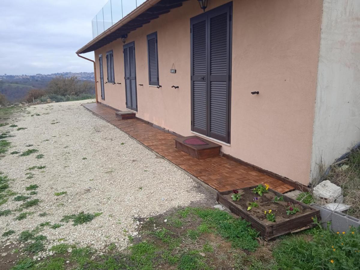 Agriturismo Il Cielo In Terra Sant'Oreste Eksteriør billede